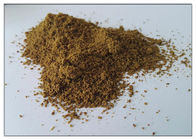 Polvo del extracto de la semilla de apio del polvo del extracto de la semilla de la planta para la gota para el suplemento dietético
