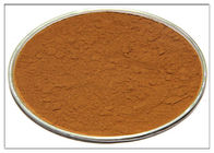 Extracto antioxidante cosmético de Rosemary, polvo CAS del extracto de Rosemary 20283 95 5