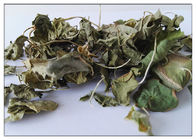 Polvo asiatica de Centella del extracto herbario cosmético de la planta con Madecassoside el 90% CAS 34540 22 2