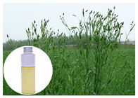 El aceite de linaza natural del ALA Omega 3, energía natural complementa cuidado del cabello