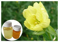 Ácido Linolenic gamma de Omega 6 naturales de los suplementos dietéticos del aceite de la onagra para la farmacia