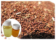 Baje el aceite gordo de Biennis del Oenothera de la sangre, ácido Linolenic gamma líquido el 10% del aceite de la onagra
