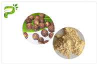 Ingrediente el 50%/el 70% de las saponinas del extracto de Soapnut de la forma del polvo para el champú