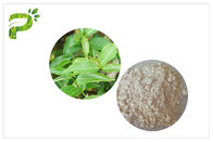 CAS 989 cosmético del extracto del té verde de 51 5 EGCG califica el ingrediente del galato de Epigallocatechin