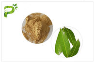 El mango de Mangiferin de la piel sale polvo de la tensión oxidativa anti ingrediente cosmético para tratar acné