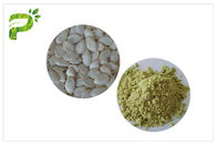 La comida natural de la gestión del peso complementa el polvo de la proteína de la semilla de calabaza del 50% el 60%
