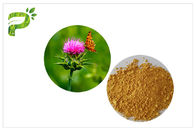 Extracto natural de la semilla del cardo de leche del ingrediente de la planta del polvo amarillo claro del extracto para la medicina del hígado