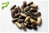 Extracto natural de la semilla del cardo de leche del ingrediente de la planta del polvo amarillo claro del extracto para la medicina del hígado