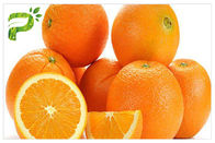 Polvo CAS 520 de la hesperidina de la antioxidación extracto Sinensis de Aurantium de la fruta cítrica del extracto anaranjado 26 2