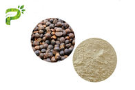 Saponinas Oleifera del té del extracto de la semilla de Abel de la camelia cosmética natural del ingrediente para el emulsor