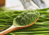 Polvo verde del jugo de la hierba de cebada del polvo de la salud de 100 mallas para el suplemento de la comida