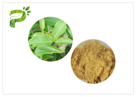 CLAR de 2.0ppm 60 Mesh Green Health Powder con los polifenoles de un té más alto