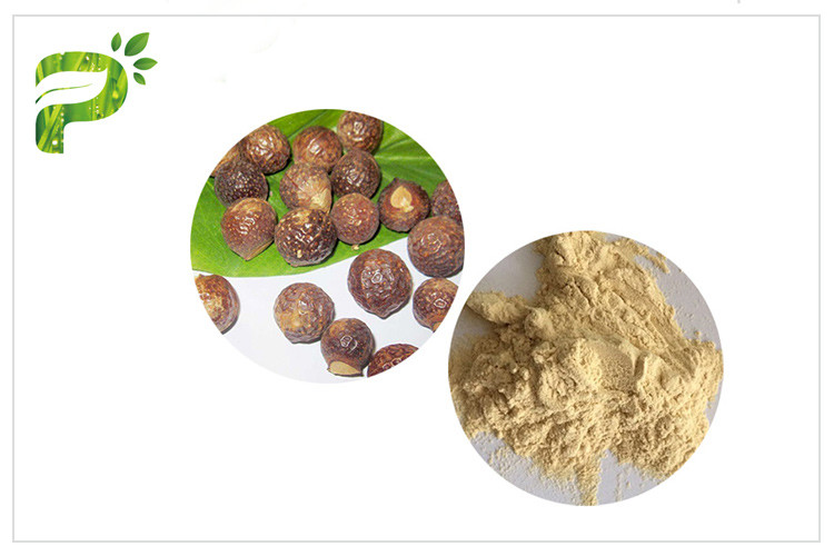 Ingrediente el 50%/el 70% de las saponinas del extracto de Soapnut de la forma del polvo para el champú