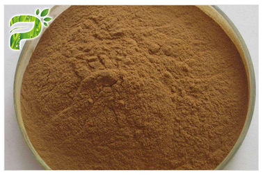 Extracto de raíz de ginseng en polvo fino amarillo marrón 20 ((R) - ginsenosida Rh2/Rg3 Anticáncer
