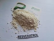 Resveratrol natural 98, polvo del transporte de la oxidación anti del 99% de la raíz del gigante Knotweed