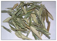 Polvo verde oliva natural inflamatorio anti del extracto de la hoja que reduce el mún colesterol