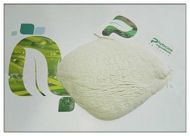 CAS 37220 17 0 polvos Konjac de Glucomannan, ingrediente alimentario del polvo Konjac puro del extracto