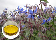 Oxidación anti orgánica de Omega 6 GLA de los aceites vegetales de la semilla de la borraja para el eczema