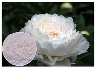 Renovación de los ingredientes cosméticos naturales de la piel del polvo blanco de Lactiflora del Paeonia del color