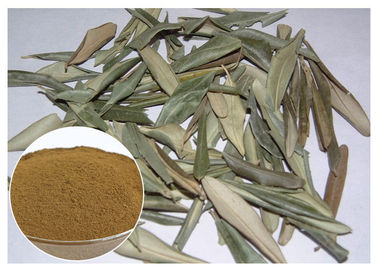 Extracto verde oliva puro de la hoja de Hydroxytyrosol el 20%, polvo verde oliva CAS de la hoja 32619 42 4