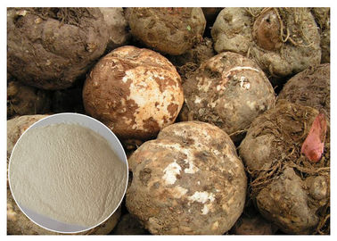 CAS 37220 17 0 polvos Konjac de Glucomannan, ingrediente alimentario del polvo Konjac puro del extracto