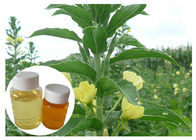Aceite amarillo dietético natural de la onagra de los suplementos GLA el 10% de la menopausia de las mujeres