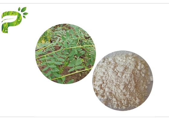 CAS 84687 43 extracto Astragaloside IV el 98% de Membranaceus de 4 astrágalos antienvejecedor