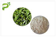 Anti - suplementos dietéticos naturales de la carie, extracto CAS del té verde de la crema dental EGCG 989 51 5