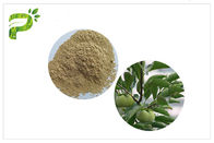 Extracto ácido de Ursolic de la planta natural, CAS 77 52 1 pureza elevada del polvo de la hoja del caqui