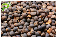 Detergente natural de la planta del extracto de la camelia de Abel de la semilla del extracto de las saponinas Oleifera naturales del té