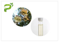 aceite contento del menor de Melaleuca Cajuputi del aceite del Aromatherapy de los aceites esenciales del árbol del 50% - del 60%