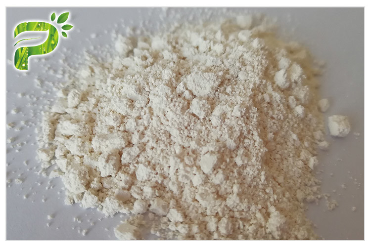 Blanco de CAS 9001-73-4 del polvo del extracto de la planta de la papaína de la enzima de la goma de diente al color amarillo claro