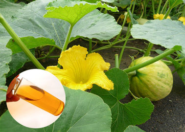 Protección planchada en frío de la próstata del aceite de la calabaza de la planta de la categoría alimenticia del aceite natural del extracto