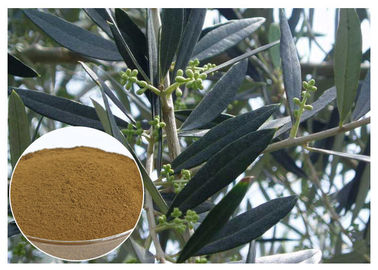 Extracto verde oliva de la hoja de Hydroxytyrosol para la tensión arterial alta CAS 10597 60 1