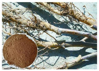 Extractos naturales puros de la planta de la raíz del manzano, Extracción de las plantas medicinales CAS 60 82 3