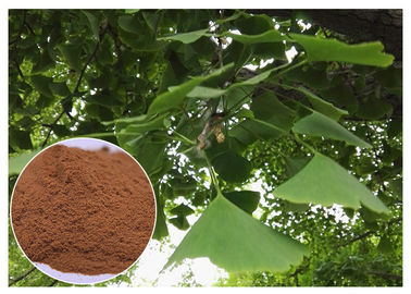 El extracto natural de la planta previene el grado del EP del extracto de la hoja de Biloba del Ginkgo de las enfermedades cardiovasculares