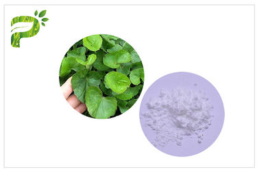 CAS 34540 extracto asiatica de 22 2 Centella, extracto de la cola de Madecassoside Gotu