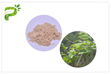 Extracto Dihydromyricetin/DHM de Ampelopsis Grossedentata para los síndromes CAS 27200 de la resaca 12 0